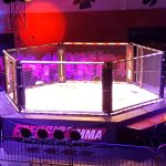 mma-enfusion3