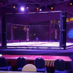 mma-enfusion6