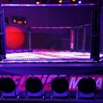 mma-enfusion8